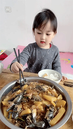 搞笑动图GIF：这猫猫也是醉了，真无辜！