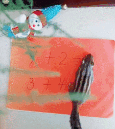 搞笑动图GIF：这猫猫也是醉了，真无辜！