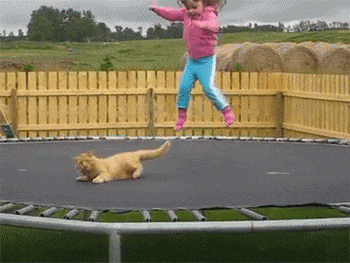 搞笑动图GIF：这猫猫也是醉了，真无辜！
