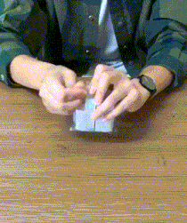 搞笑动图GIF：这猫猫也是醉了，真无辜！