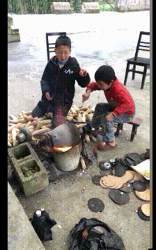搞笑的GIF:自从姐姐毕业以来,我家红薯受尽了苦难