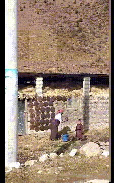 搞笑的GIF:自从姐姐毕业以来,我家红薯受尽了苦难