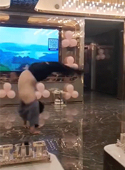 好笑的GIF：螳臂挡车实景再现！