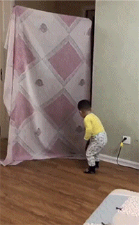 好笑的GIF：螳臂挡车实景再现！