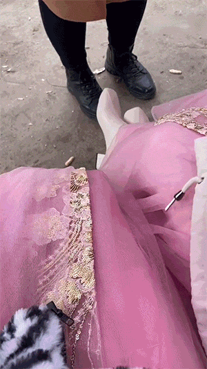 好笑的GIF：螳臂挡车实景再现！