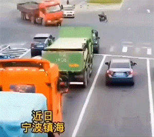 好笑的GIF：螳臂挡车实景再现！