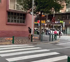 好笑的GIF：螳臂挡车实景再现！