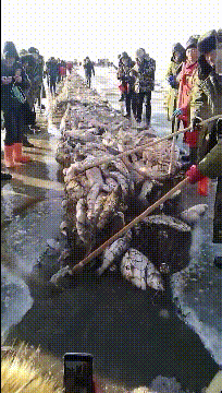 搞笑的动图:意思套套质量太好了?!!