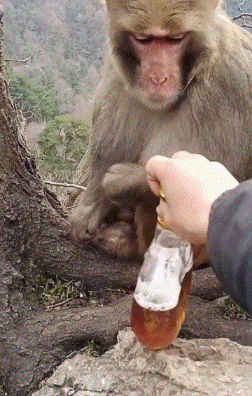 女法官和囚犯亲热,看着好刺激
