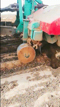 搞笑GIF动态图：要不要告诉她真相！