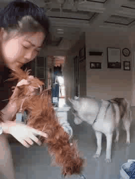 爆笑动图：警察叔叔我真是来开房，不是来学习的