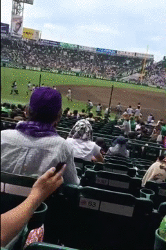 爆笑的GIF:色心很大,脑子很小!