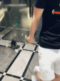 爆笑的GIF:色心很大,脑子很小!