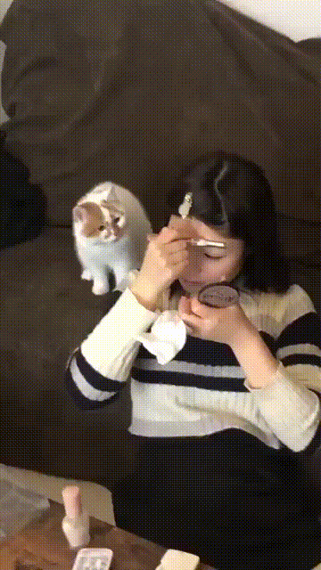 爆笑的GIF:色心很大,脑子很小!