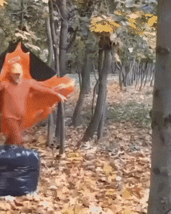 有意思的GIF：神人与二货平分秋色！