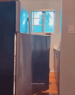有意思的GIF：神人与二货平分秋色！