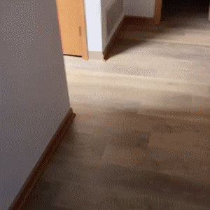 有意思的GIF：神人与二货平分秋色！