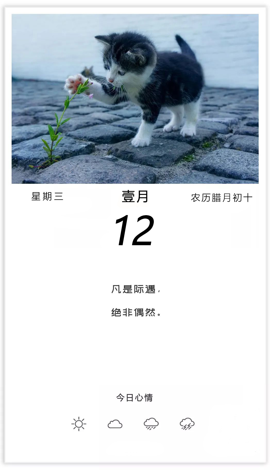 正能量朋友圈早安文案带图片，播种希望，才能收获未来