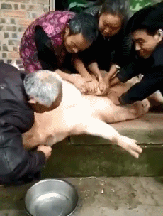 爆笑的GIF：妹子今天要去见男友吗？要一起白头！
