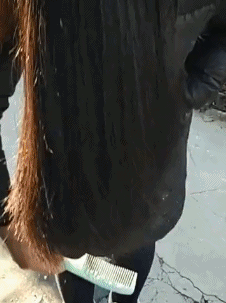 爆笑的GIF：妹子今天要去见男友吗？要一起白头！