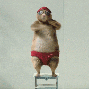 2022精彩GIF：点赞勇敢的小哥！