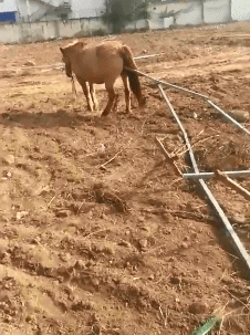 2022精彩GIF：点赞勇敢的小哥！