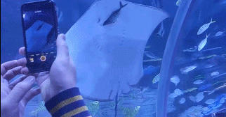 2022精彩GIF：点赞勇敢的小哥！