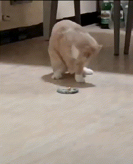 搞笑动图GIF：现在年轻人越来越会玩儿了~