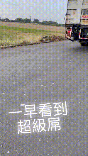 搞笑动图GIF：现在年轻人越来越会玩儿了~