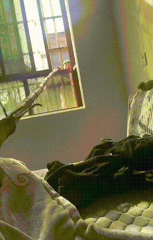 精彩的GIF：女子跳桥，被路过的货车接住！
