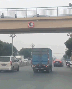 精彩的爆笑动图：女子跳桥，被路过的货车接住！