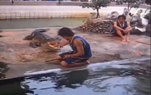 有趣GIF：他们吓哭了，我却笑哭了！