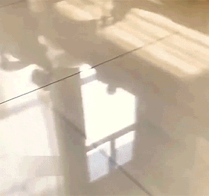 有趣GIF：他们吓哭了，我却笑哭了！