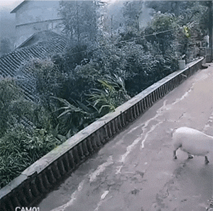 爆笑动图：驱蚊高跟鞋，这是什么神奇的脑洞！
