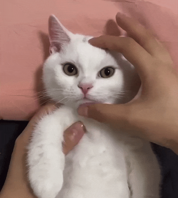 GIF图：男子跳轨被撞飞，男子再撞飞多人！