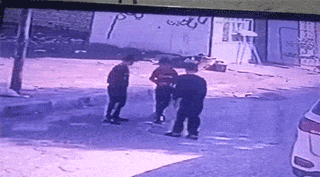 爆笑动态图：千万不要被狗子的假动作给骗了！
