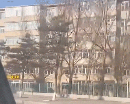 爆笑动图：在学校上学上出老大的感觉来了？