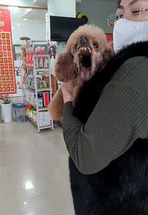 2022GIF：山东一代驾小哥被大厅门压死，唉！
