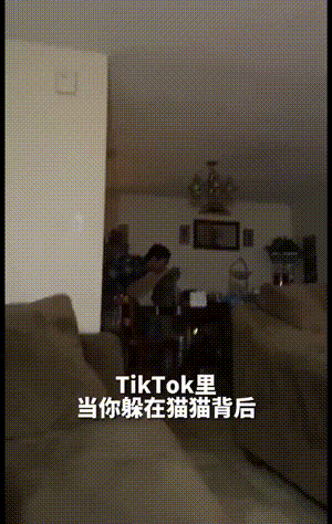 2022GIF：山东一代驾小哥被大厅门压死，唉！