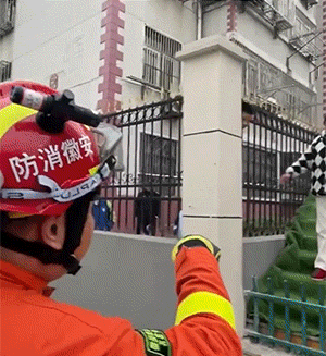 经典GIF：菜的价格，有多少是买保险用的？