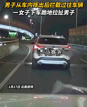经典GIF：菜的价格，有多少是买保险用的？
