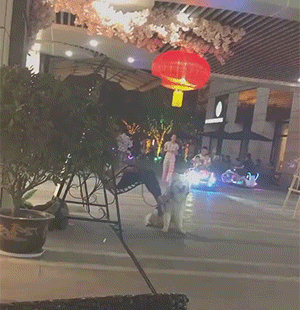 爆笑GIF图：被逼去学校凑数的日子！