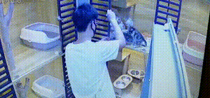 爆笑GIF动图：360无死角拍摄，我却看上了他的增高鞋！