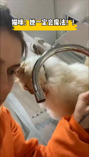 搞笑的GIF：面向社会的礼貌性微笑！