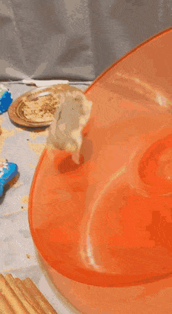 搞笑GIF：动物的迷惑行为动图大全
