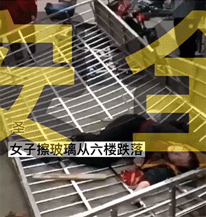 爆笑的GIF动图：你们女生过分了，欺负男生和狗！
