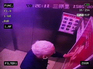 爆笑的动图：论断头舞，我敢说你还不如一只鸡