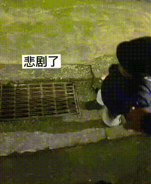 爆笑的动图：论断头舞，我敢说你还不如一只鸡
