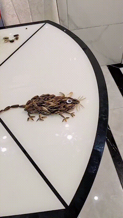 爆笑的动图：论断头舞，我敢说你还不如一只鸡
