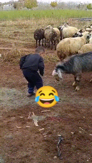 爆笑的动态图：三哥真乃神人也！